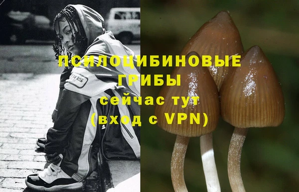 синтетический гашиш Вязьма
