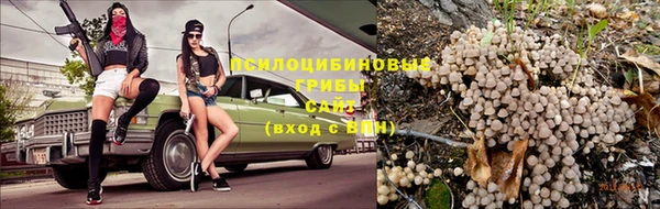 спиды Вязники