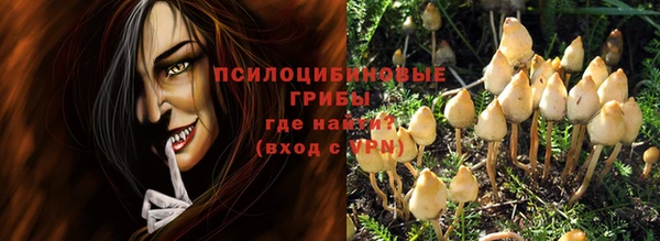 2c-b Вяземский