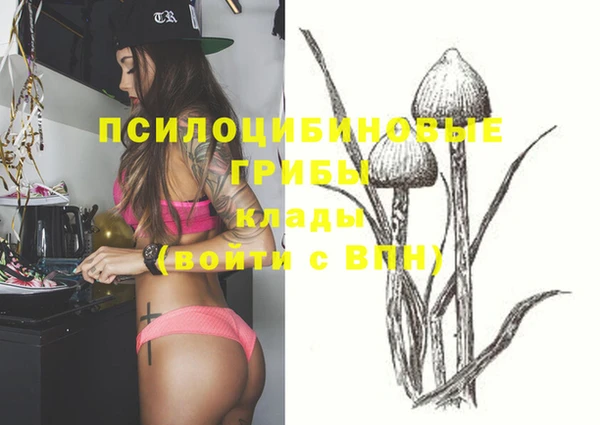 синтетический гашиш Вязьма