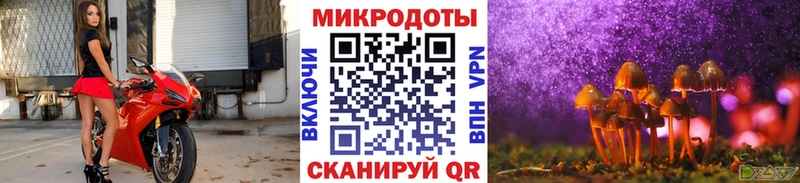 Купить где  Билибино  Галлюциногенные грибы MAGIC MUSHROOMS 